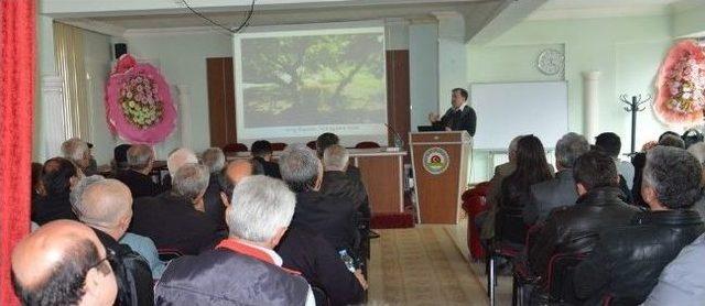 Fındıkta Kalite Ve Verim Toplantıları