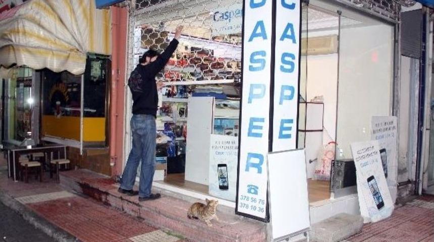 (&ouml;zel Haber) Kedinin Yaptığı Yuva Şaşırttı