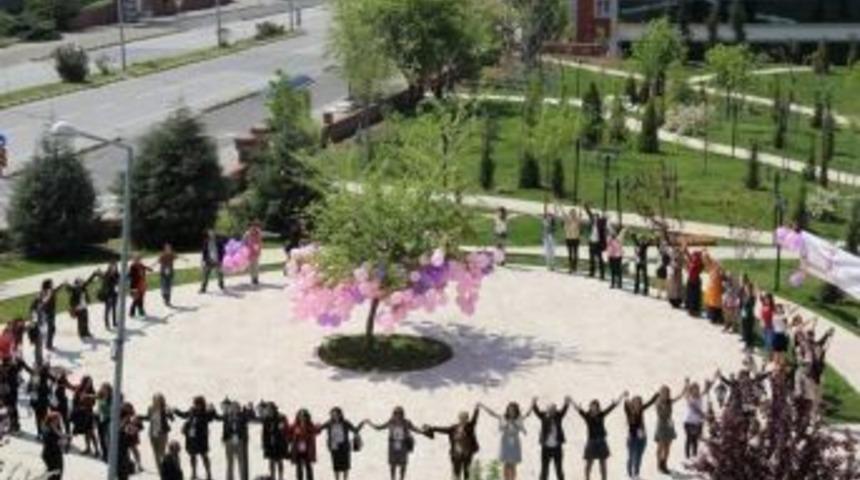 &Ccedil;om&uuml;&rsquo;de Farkındalık Ağacı