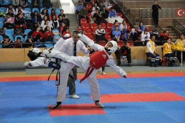 Yıldız Taekwondo Grup Müsabakaları Tamamlandı