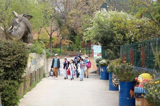 Bilgi Evleri Öğrencileri Darıca Hayvanat Bahçesi’ni Gezdi
