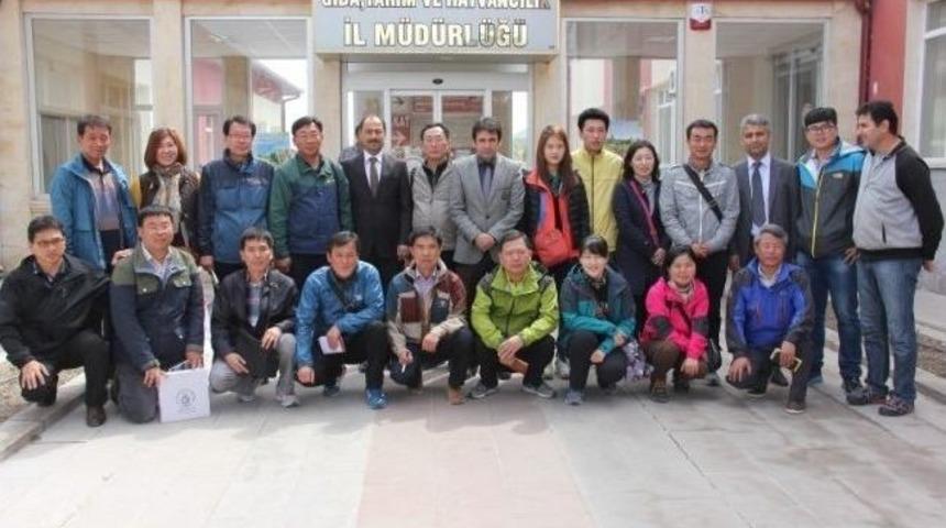 G&uuml;ney Koreli Heyet, Gıda, Tarım Ve Hayvancılık İl M&uuml;d&uuml;rl&uuml;ğ&uuml;&rsquo;n&uuml; Ziyaret Etti
