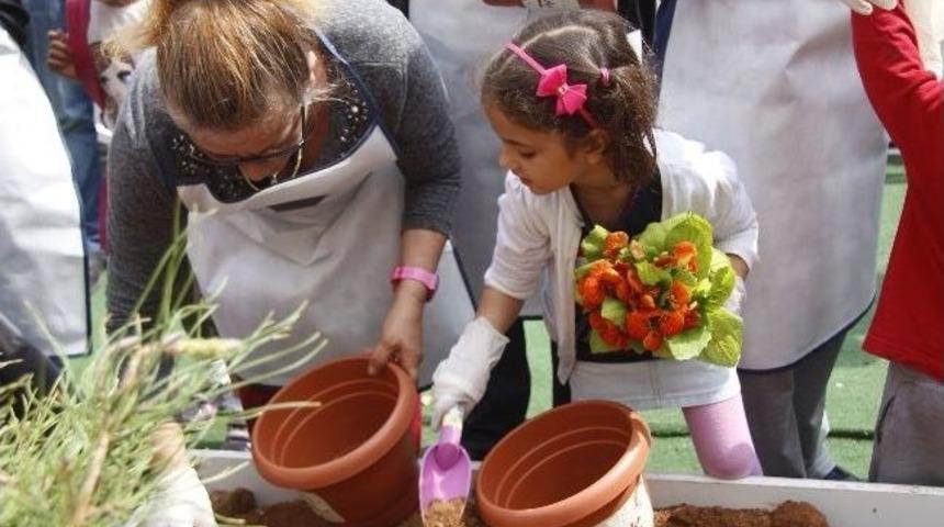 Kadınlar Saksılara &Ccedil;i&ccedil;ek Dikti