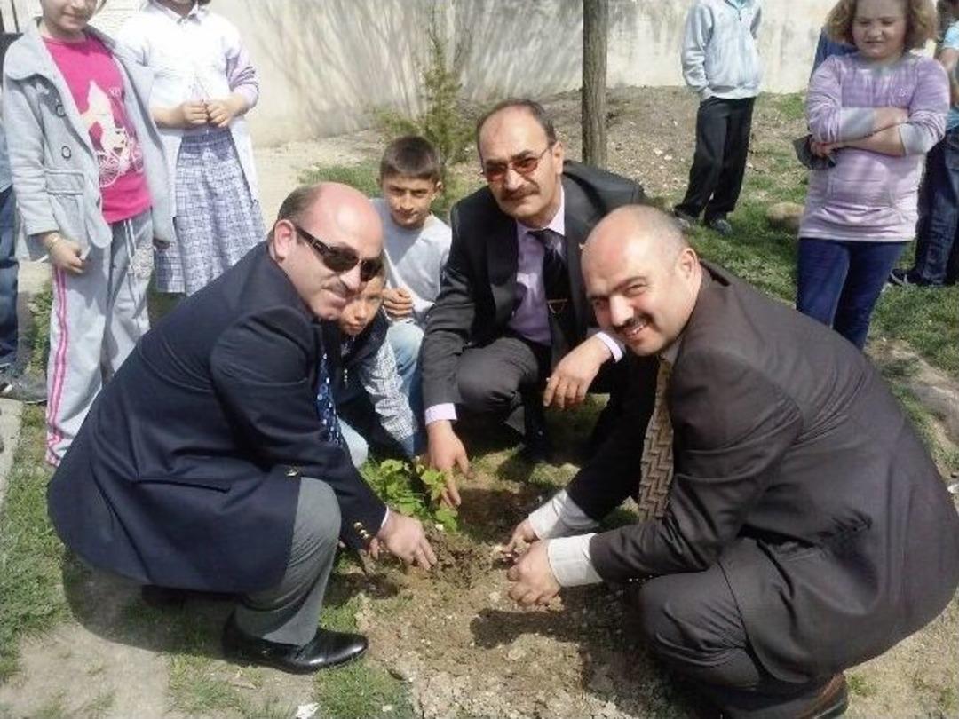 Hisarcık İhl&rsquo;de G&uuml;lfidanı Dikim Etkinliği