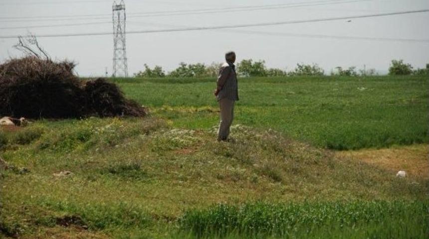 Nisan Yağmurları &Ccedil;ift&ccedil;inin Y&uuml;z&uuml;n&uuml; G&uuml;ld&uuml;rd&uuml;