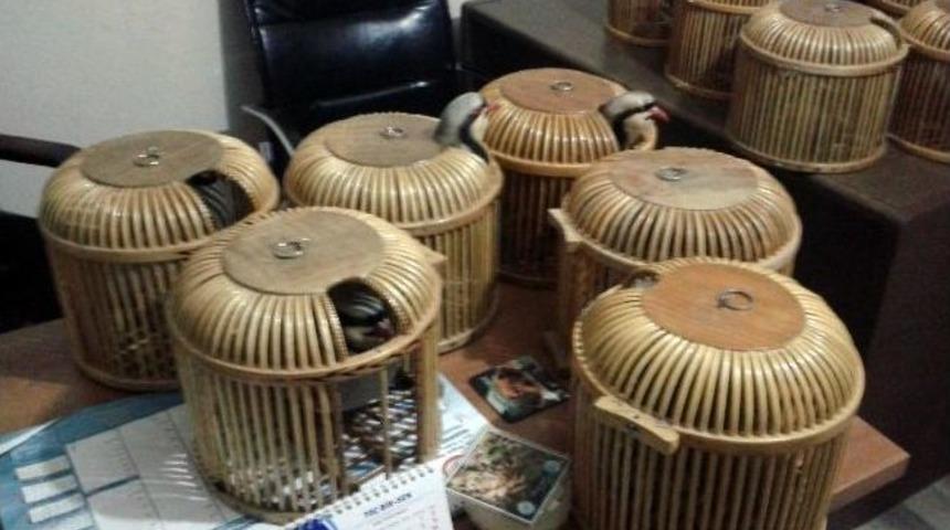 Van&rsquo;da Kınalı Keklik Operasyonu