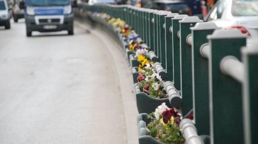 Tokat&rsquo;ta Ref&uuml;jlerdeki &Ccedil;i&ccedil;eklikler Kaldırılıyor