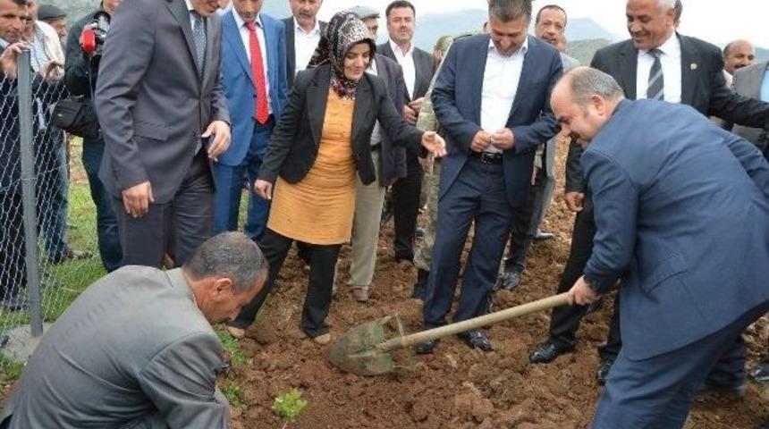 Fıstık&ccedil;ılık Ve Arıcılık Projeleri Siirt&rsquo;te &Ccedil;ift&ccedil;ilerin Y&uuml;z&uuml;n&uuml; G&uuml;ld&uuml;rd&uuml;