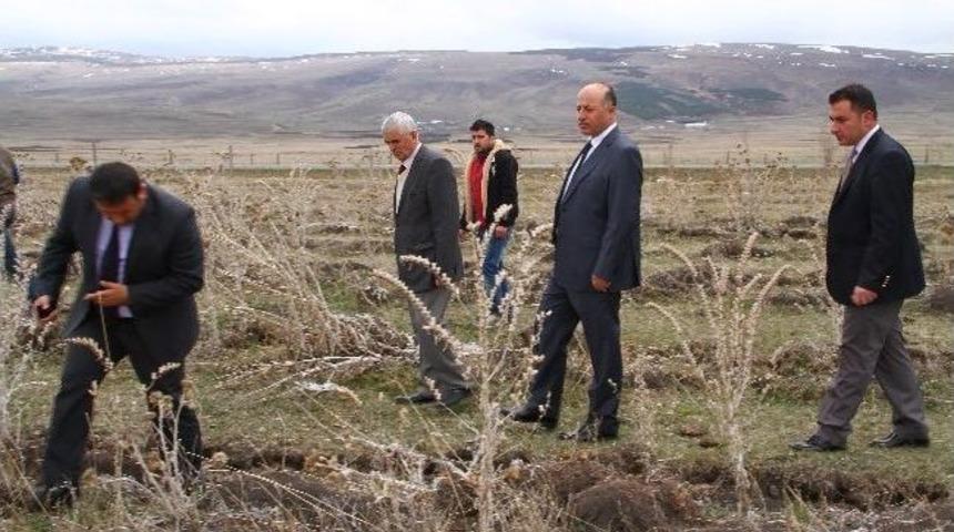 Vali, Fidanlıkta Fidan Aradı