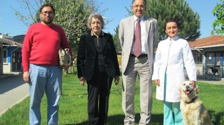 T&uuml;rkiye Hayvanları Koruma Derneği Başkanı Birg&uuml;l Rona: