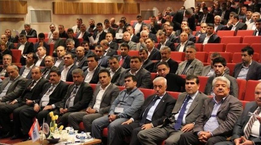 Halı İhracat&ccedil;ıları &lsquo;kaplan&rsquo; Dedi