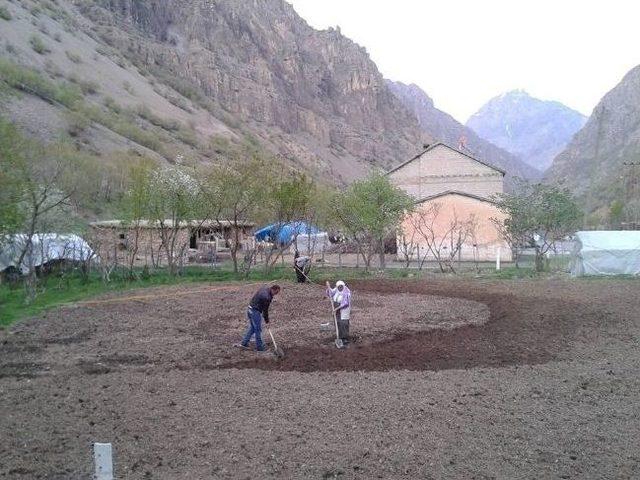 Hakkari’de Tarım Zamanı