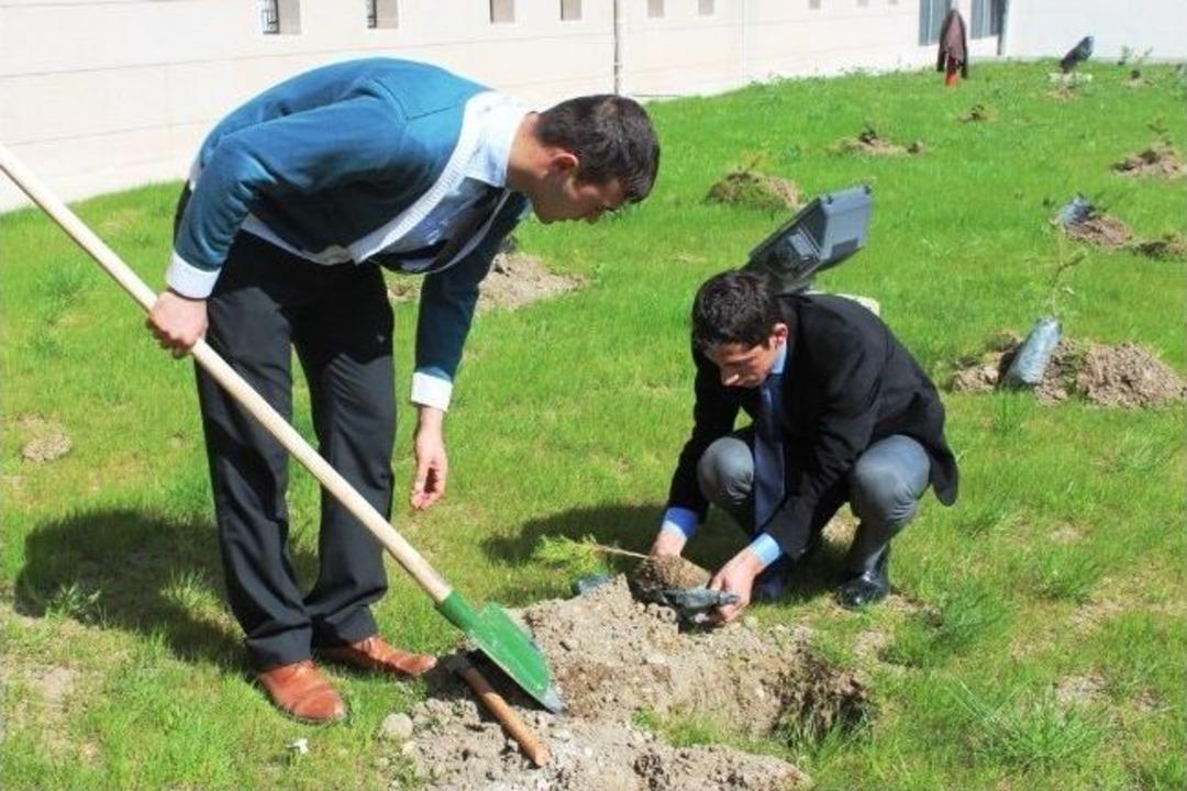 Van Adalet Sarayı Bah&ccedil;esine H&uuml;k&uuml;ml&uuml;ler Tarafından Fidan Dikildi