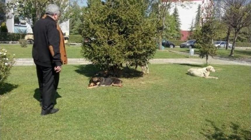 Zabıta&rsquo;ya Kohayder Desteği