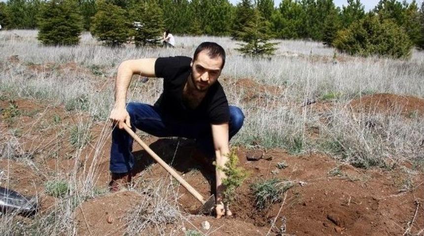 Tek Başına &Ccedil;evreci