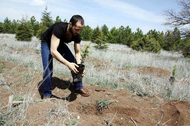 Tek Başına Çevreci 2