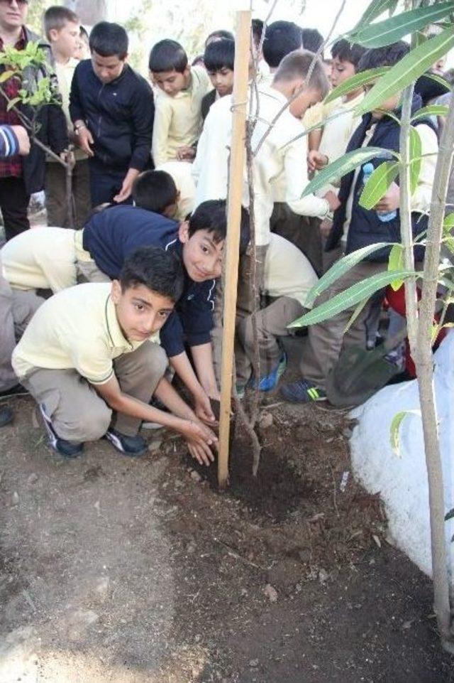 Halikarnas Balıkçısı Doğum Gününde Anıldı