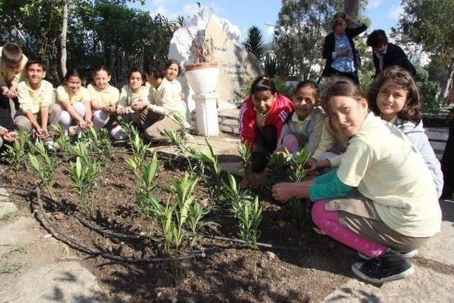 Halikarnas Balıkçısı Doğum Gününde Anıldı