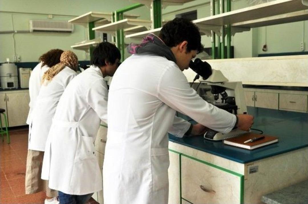 Edremit&rsquo;te Zeytincilik Sekt&ouml;r&uuml; Akademik Kontrolde