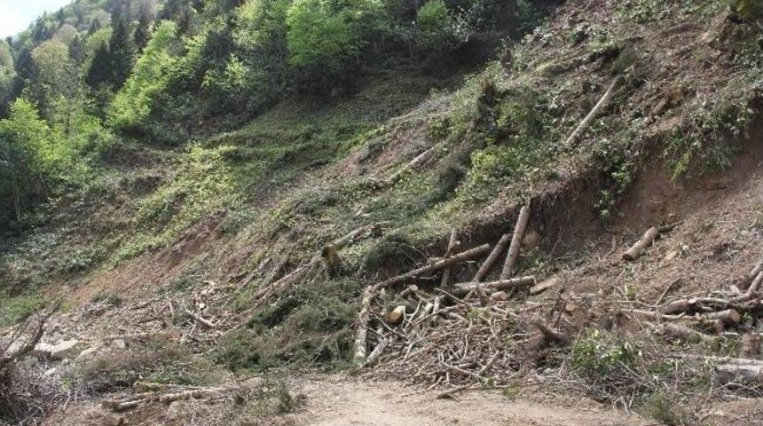 Hes&rsquo;&ccedil;iler Başbakan&rsquo;ın Resmini Asarak &Ccedil;alışmak İstediler