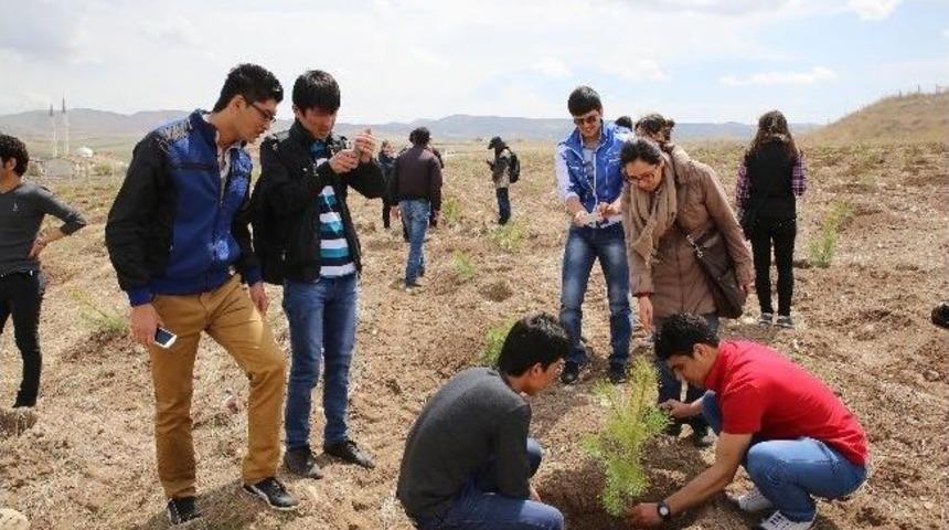 G&ouml;lbaşı&rsquo;nda &Uuml;&ccedil; Bin Fidan Dikildi