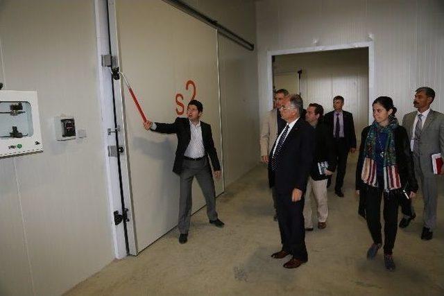 Başkan Bakıcı Deppo Efes&rsquo;i İnceledi 1