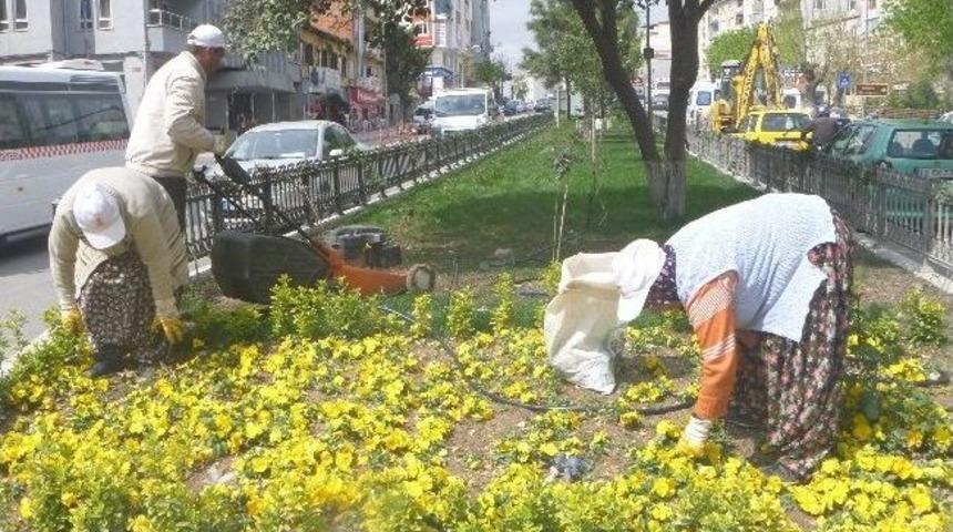Bilecik Belediyesi'nden &Ccedil;i&ccedil;eklendirme &Ccedil;alışmaları