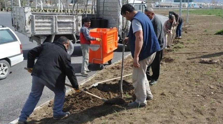 Boz&uuml;y&uuml;k Otogarı Ağa&ccedil;landırıldı