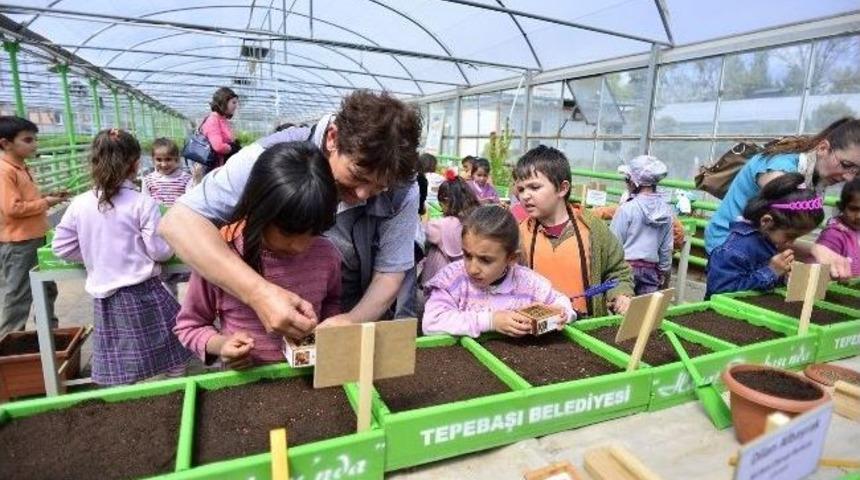 Eskişehir&rsquo;de Tohumdan &Ccedil;i&ccedil;ek Ve Sebze &Uuml;retimi Projesi