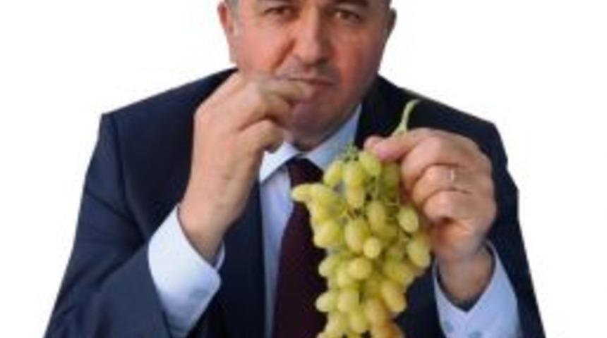 Mhp&rsquo;li Ak&ccedil;ay G&uuml;ndeme Taşıdı, Karacaali&rsquo;nin Elektriği Yatırım Programına Alındı