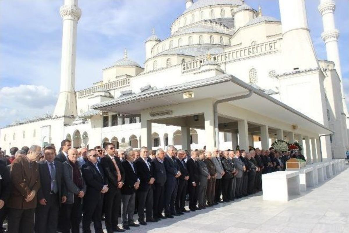 Orhan Taşanlar'ın Torun Acısı