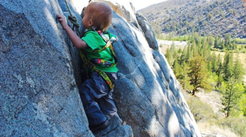 2 yaşında ama 483 km yol katetti!