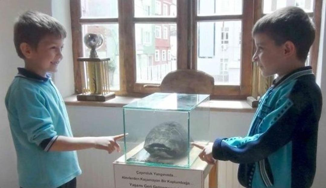 Simav Kent M&uuml;zesinde &Ccedil;ifte Sergi