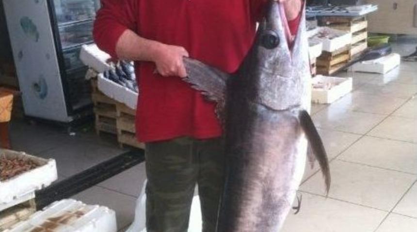 Av Yasağı Başladı K&uuml;&ccedil;&uuml;k Balık&ccedil;ının Y&uuml;z&uuml; G&uuml;ld&uuml;