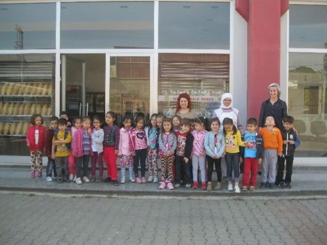 Nazilli'de Minikler Alan Gezilerini S&uuml;rd&uuml;r&uuml;yor