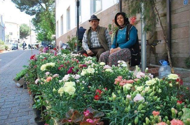 Küçük Ailesi, Çiçek Sevgisi Sayesinde İş Sahibi Oldu