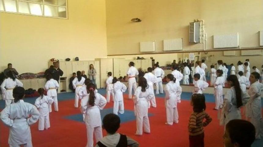 Van'da Karate Sporuna B&uuml;y&uuml;k İlgi