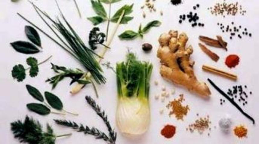 Tıbbi Ve Aromatik Bitki Yetiştiriciliğine Y&uuml;zde 50 Geri &Ouml;demesiz Hibe