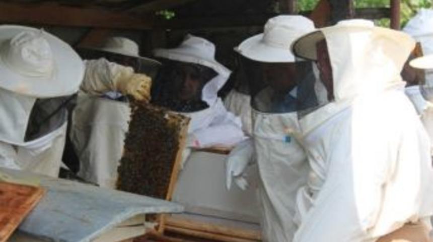 Kadın &Ccedil;ift&ccedil;iler Kovan A&ccedil;tı