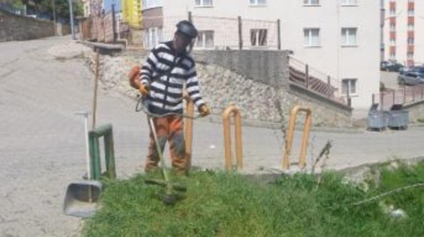 Bilecik Belediyesi'nden Bahar Temizliği