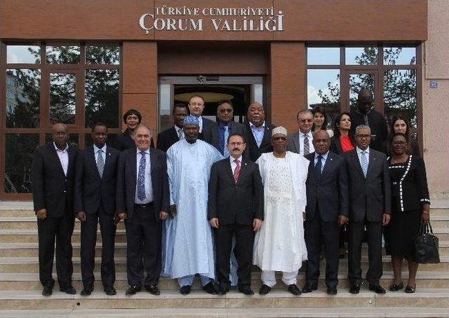Afrikalı Büyükelçiler Çorum Sanayisini İnceledi