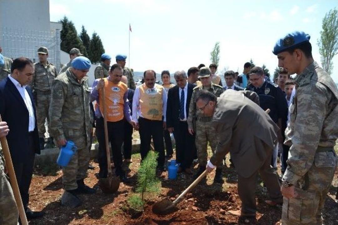 Fidanlar Toprakla Buluştu