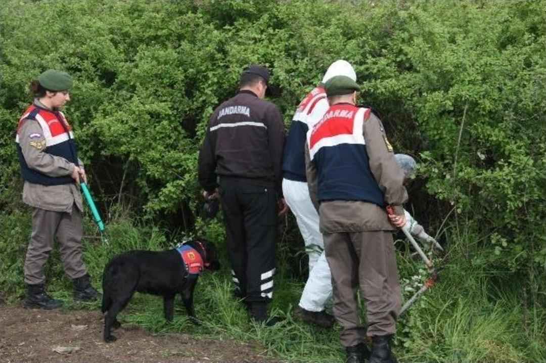 Edirne'de 4 Ceset Daha Bulundu