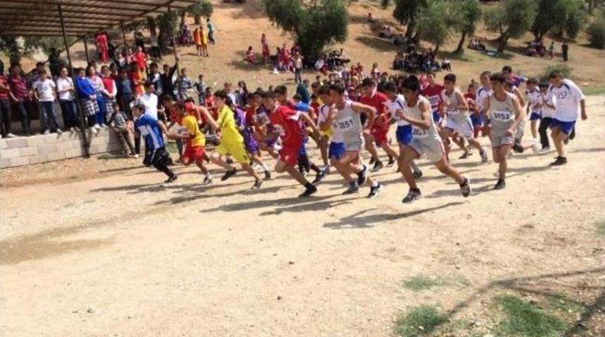 Okullararası Kros Yarışmasına 240 &Ouml;ğrenci Katıldı