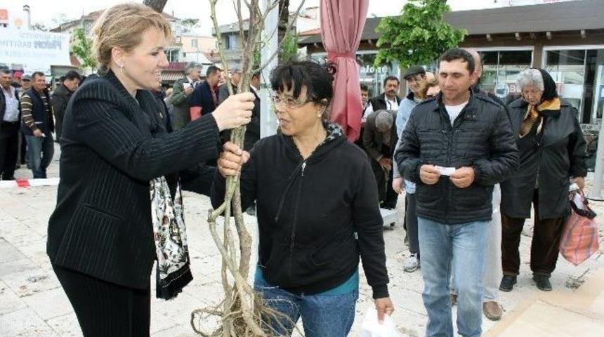 Urla Belediyesi &ldquo;daha Yeşil Bir Urla İ&ccedil;in&rdquo; Fidan Dağıttı