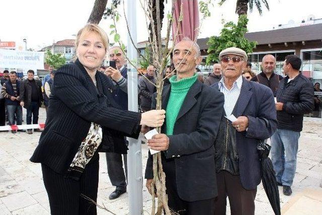 Urla Belediyesi “daha Yeşil Bir Urla İçin” Fidan Dağıttı