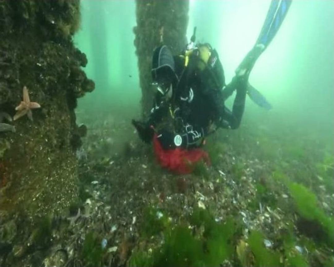 Dalgı&ccedil;lardan B&uuml;y&uuml;kada A&ccedil;ıklarında Temizlik Dalışı