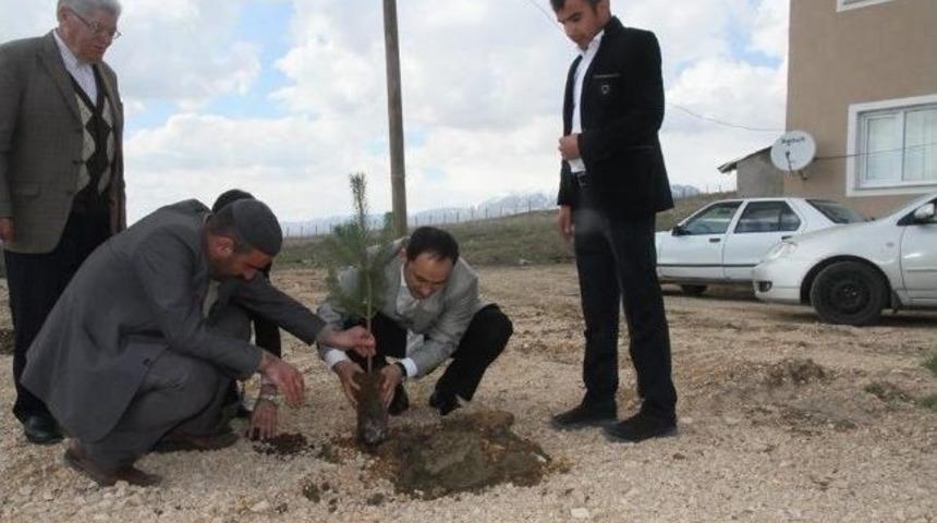 Varto'da Kutlu Doğum Haftası Etkinliklerinde Ağa&ccedil;landırma &Ccedil;alışması