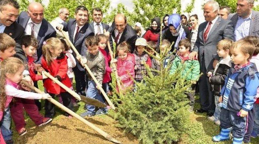 Edebali &Ccedil;ocuklarla Fidan Dikti