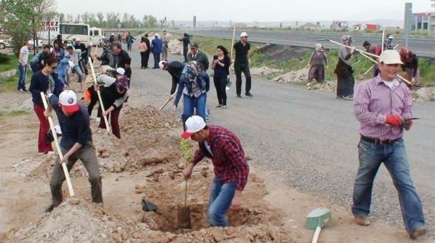 Aksaray'da Fidan Dikim Kampanyası